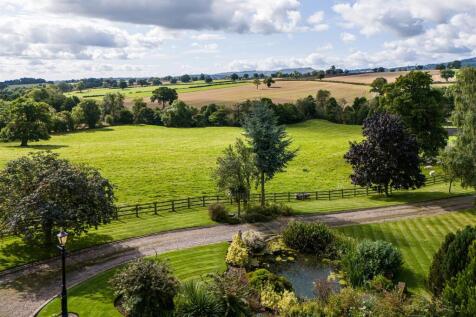 The Dairy Farm-Drone-05.jpg