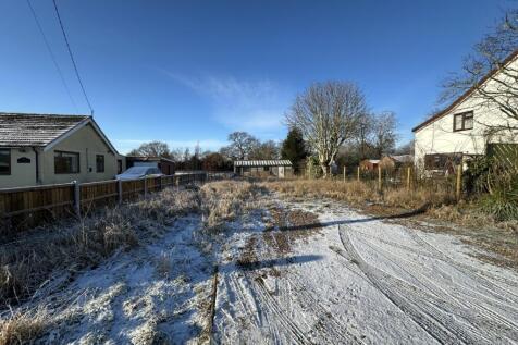 IMG 2136 T202601061625.jpg