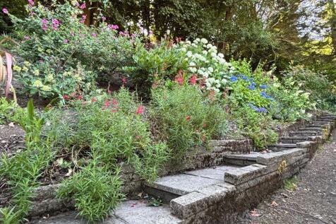 Garden (3)