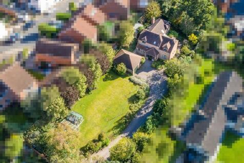 IMG_16603_29_larg...