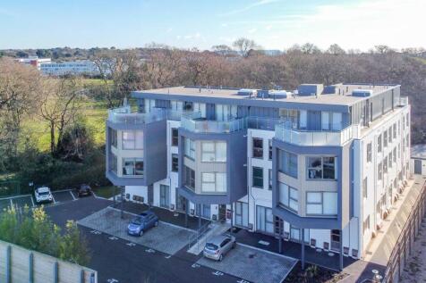 BOWMONT BIRDS EYE VI