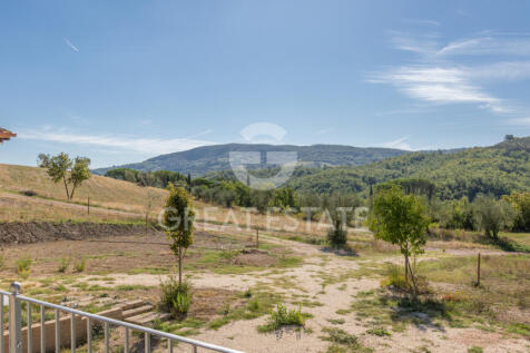 Panorama e Particolari