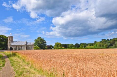 Fieldfare - Nearby View #1.jpg
