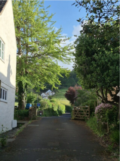 View from site towards road