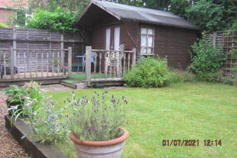 back garden 