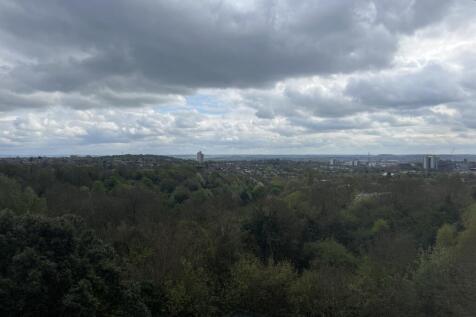 DF13CB2D-86C1-4EC7-8405-1CB2EBADB767 T202504171131.jpeg