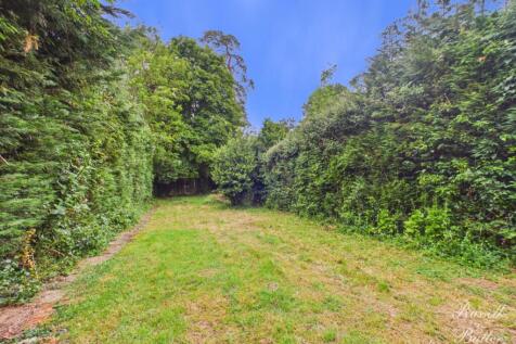 CAM01995G0-PR0449-STILL034