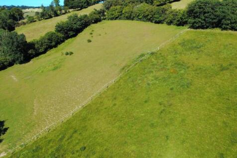 dji_fly_20250711_165924_393_1752573966645_photo_op