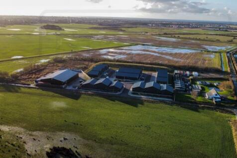 dji_fly_20241126_141232_346_1732630596960_photo_op