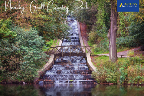 Local walks
