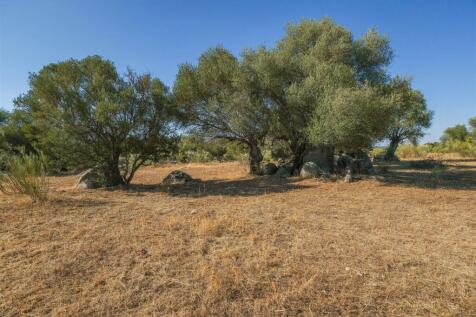 Plot of Land, Barrocal, Monsaraz, Évora, Alentejo
