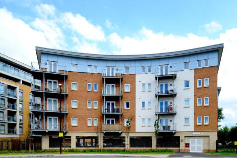 bridn895755brindl847575755.jpg