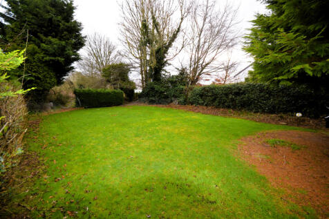 Rear Lawn 2
