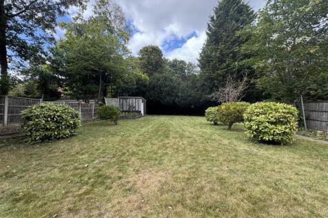 IMG_5482 (Large) (Large).JPG