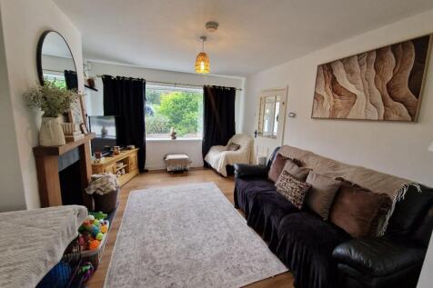 Yew Tree Avenue photo 4