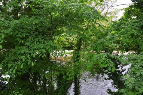 DSC_0327.JPG
