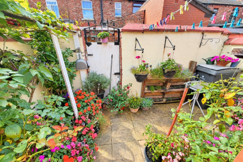 Rear yard