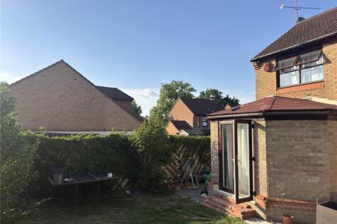 Back Garden