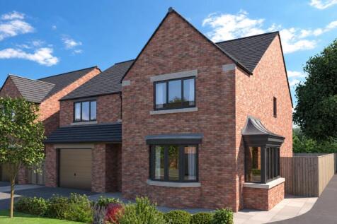 plot 5 