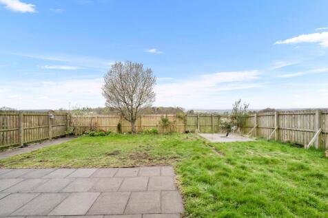 Back garden