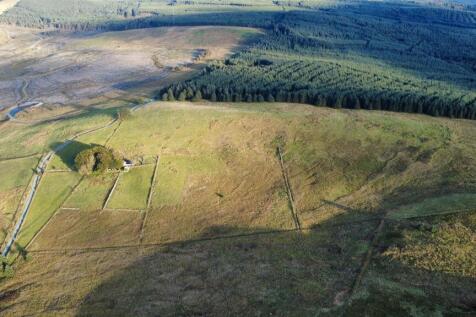 dji_fly_20250923_175728_872_1758704159714_photo_op