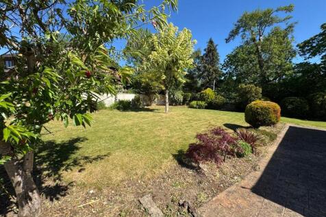 PHOTO-2025-06-10-15-00-38 (1).jpg