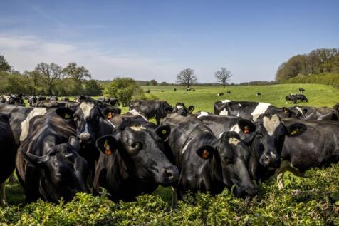 Land Opposite Barrs Farm