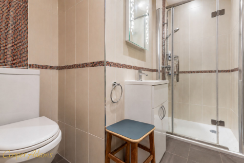 Downsatirs Shower Room