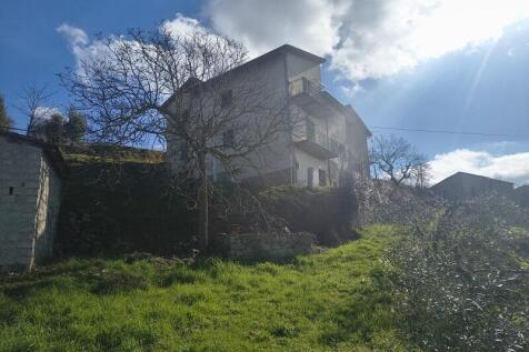 Image 14