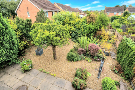 garden 3.png