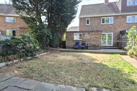 garden 4.jpg