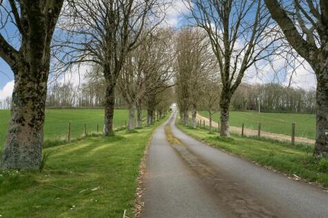 Trees Entrance.jpg