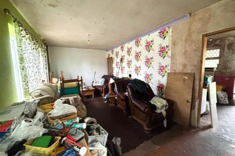 IMG 3661 T202604160936.jpg