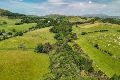 DJI_20250611134151_0834_D (1).jpg