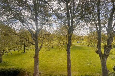 View from window