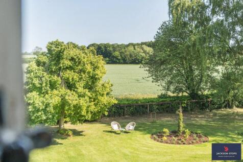 View From Firstfloor