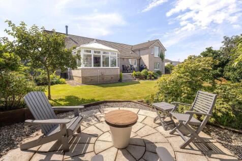 Back Garden