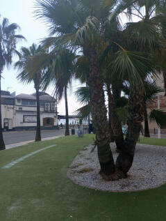 Image 14