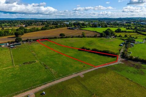 Primrose Field, Frome Mill Farm, Nibley lane, Nibl