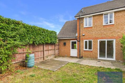 Back Garden