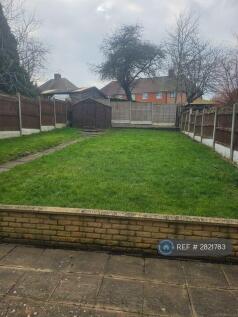 Back Garden