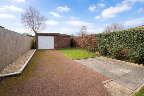 Back garden
