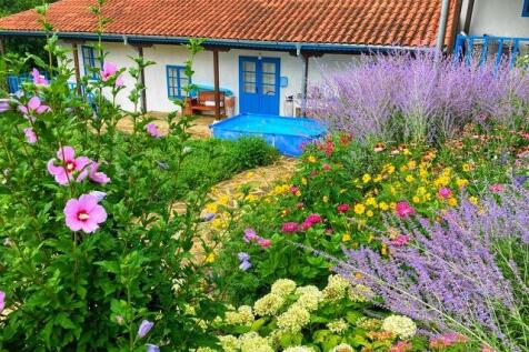 Beautiful garden