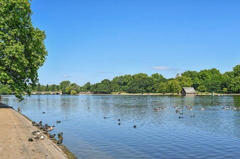 Serpentine