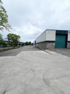 Unit 97 yard_edit.jpg