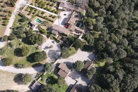 dji_fly_20230311_102