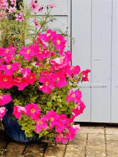 Bin Store and Garage