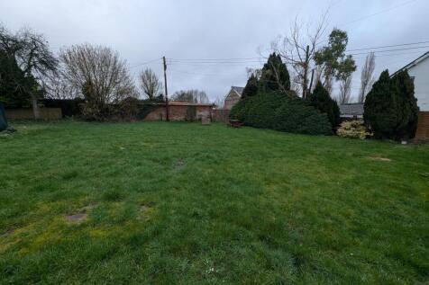 1000036548 T202602271515.jpg