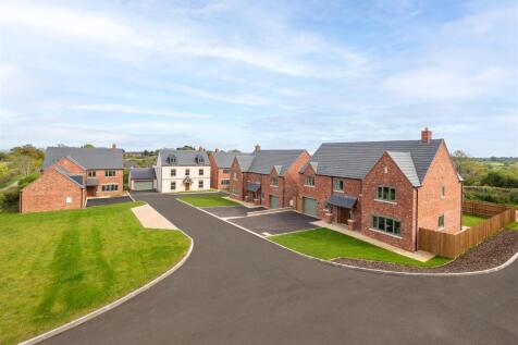 The Meadows Street Scene-1.jpg