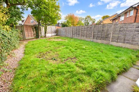 Overgrown Suburban Garden Under Blue Skies